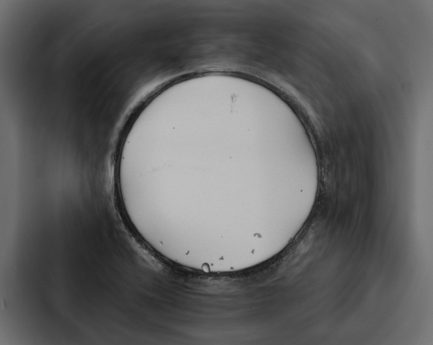 X0000087041416200705160919