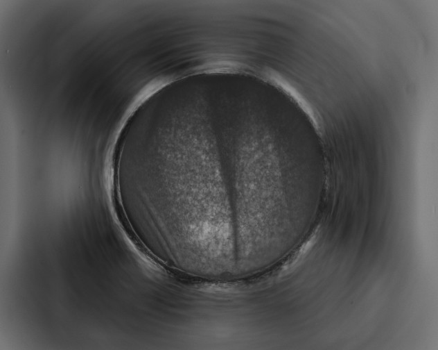 X0000087041418200705160919