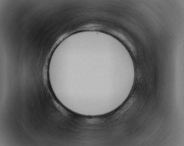 X0000087041421200705160919