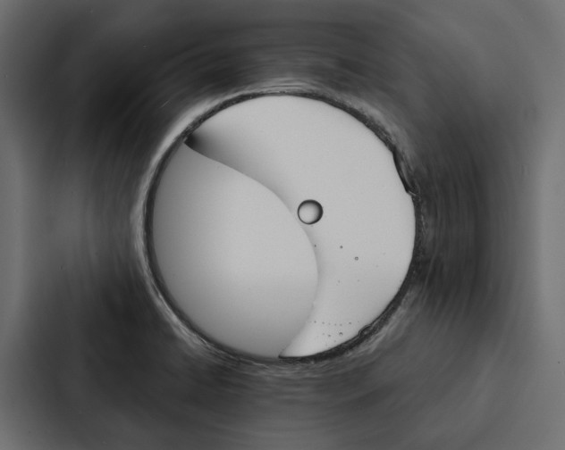 X0000087041422200705160919