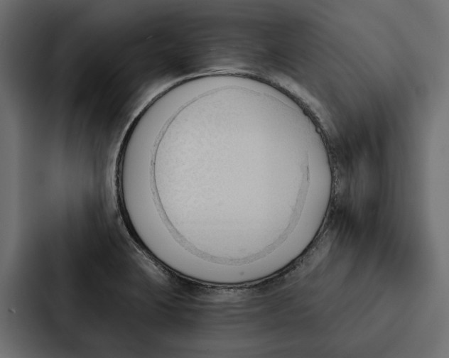 X0000087041423200705160919