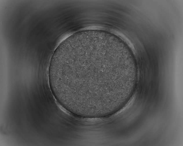 X0000087041425200705160919