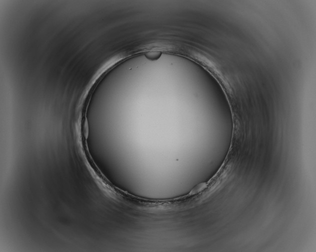 X0000087041426200705160919