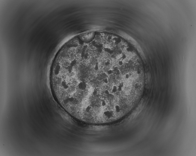 X0000087041427200705160919