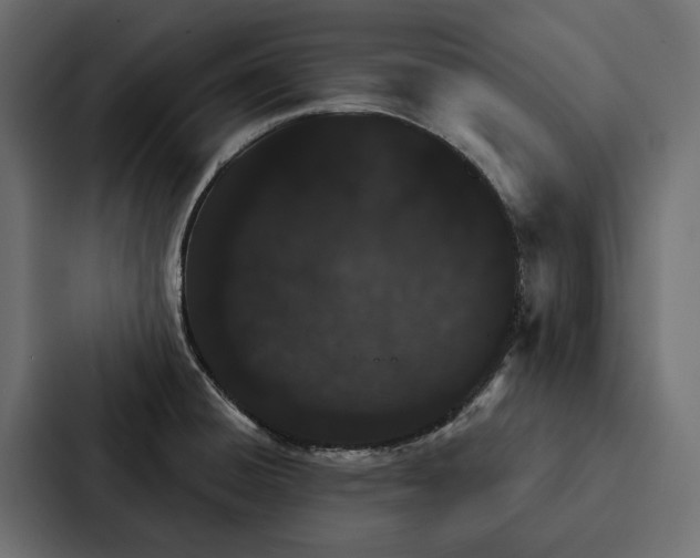 X0000087041428200705160919