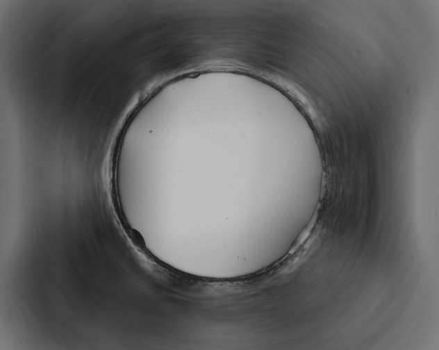 X0000087041430200705160919