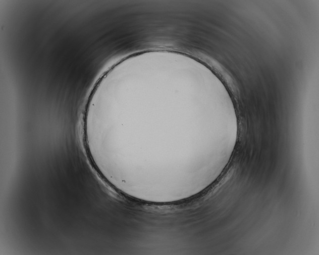 X0000087041432200705160919