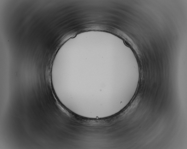X0000087041433200705160919