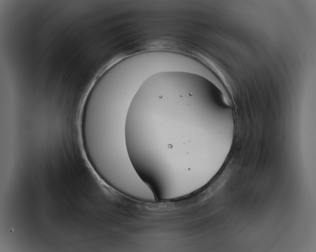 X0000087041434200705160919
