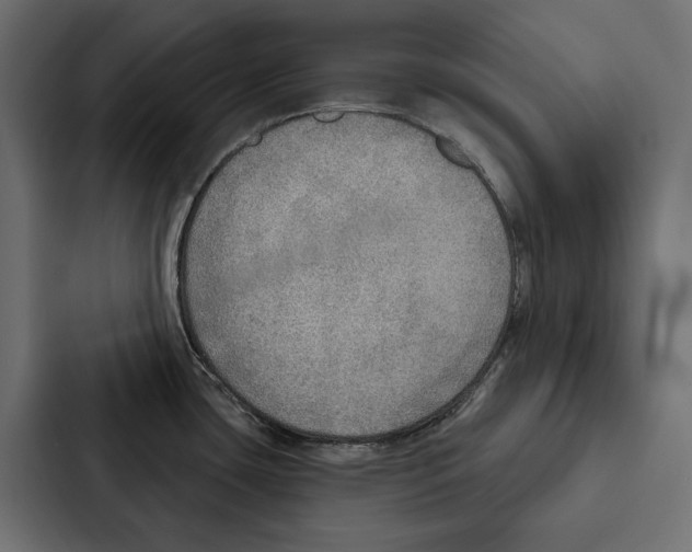 X0000087041435200705160919