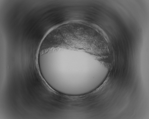 X0000087041436200705160919