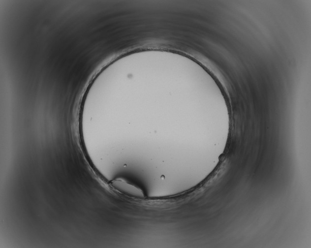 X0000087041437200705160919