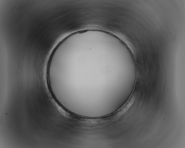 X0000087041438200705160919