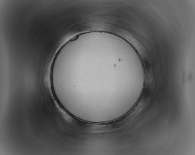 X0000087041439200705160919