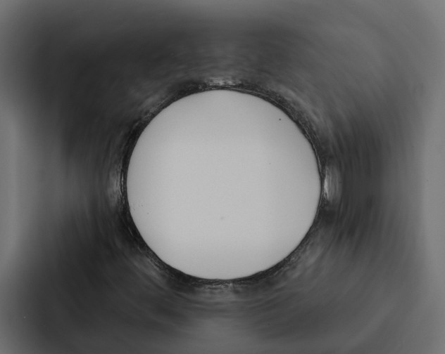 X0000087041444200705160918