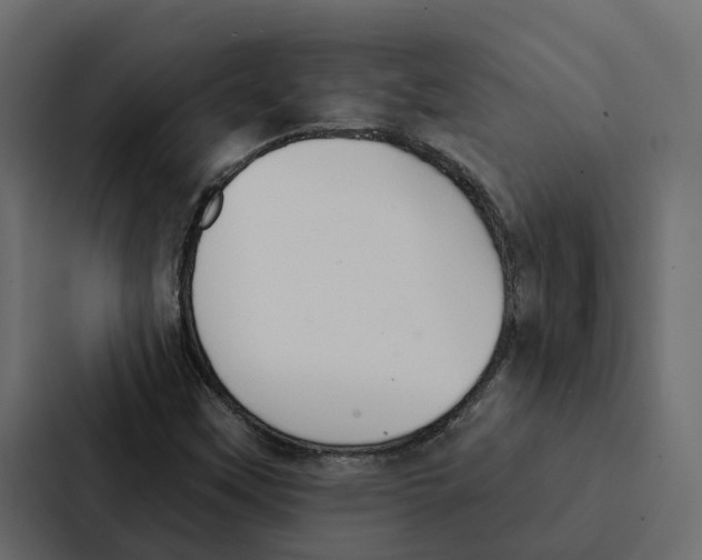 X0000087041451200705160918