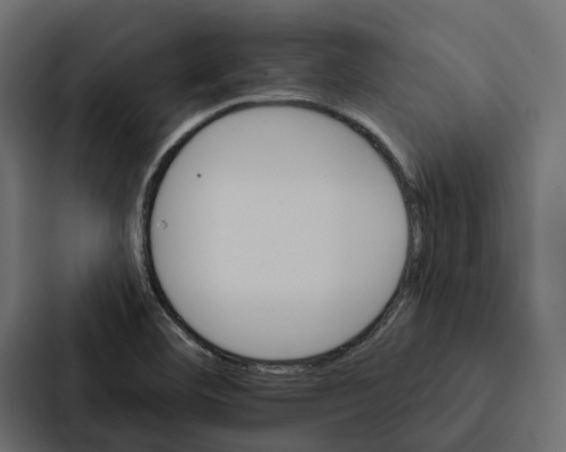X0000087041460200705160918