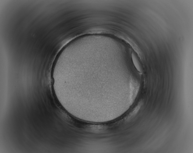 X0000087041465200705160918