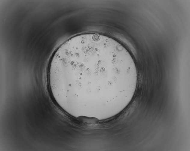 X0000087041467200705160918