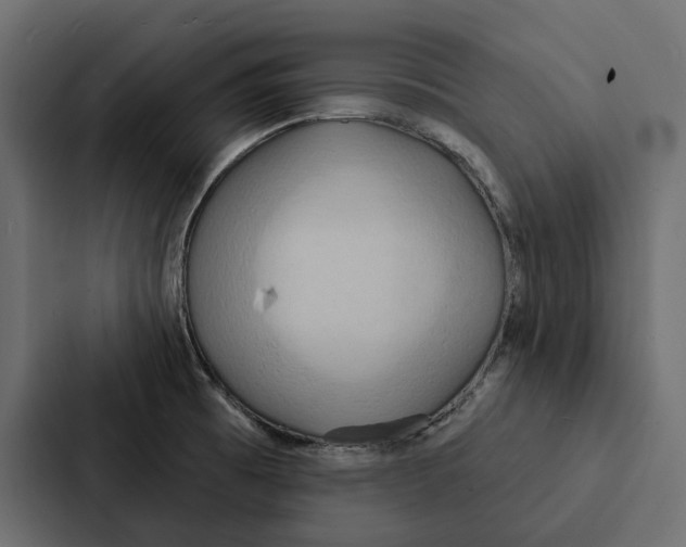 X0000087041473200705160918