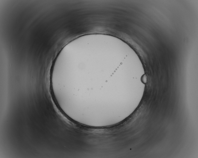 X0000087041479200705160918