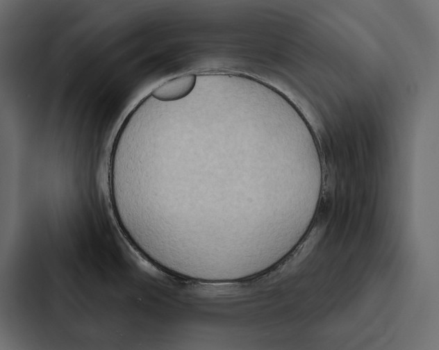 X0000087041486200705160918