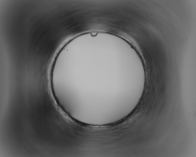 X0000087041488200705160918