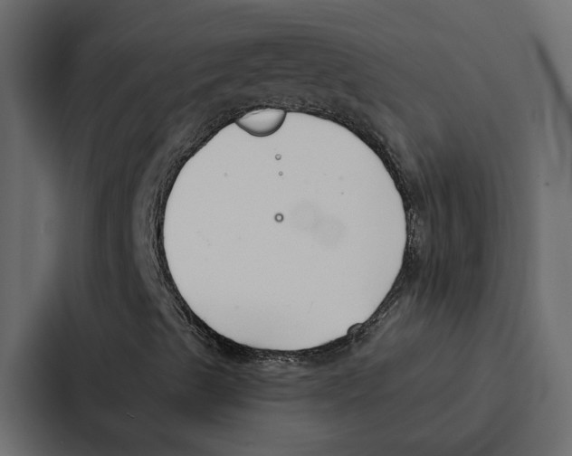 X0000087041489200705160917