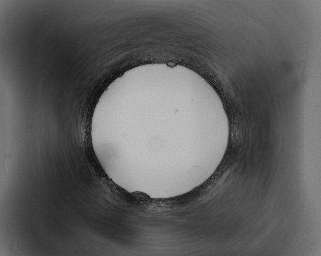 X0000087041490200705160917