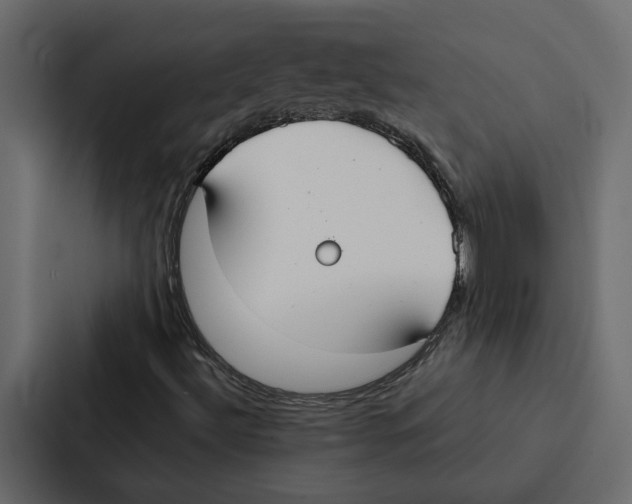 X0000087041492200705160917