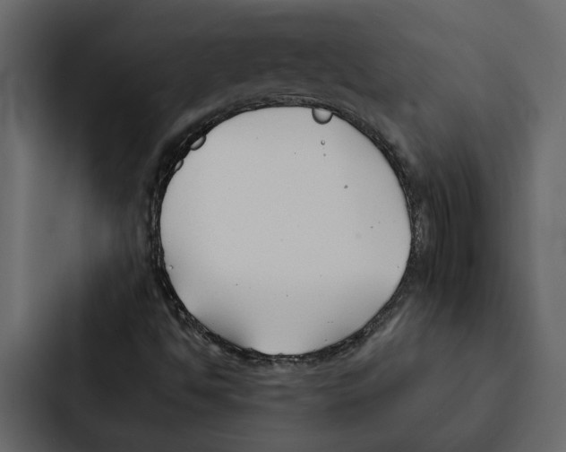 X0000087041494200705160917