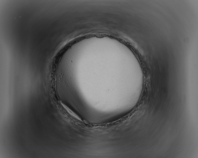 X0000087041496200705160917