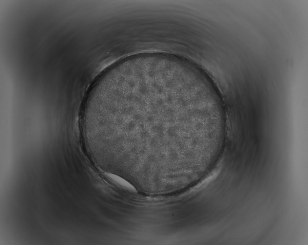 X0000087041497200705160917