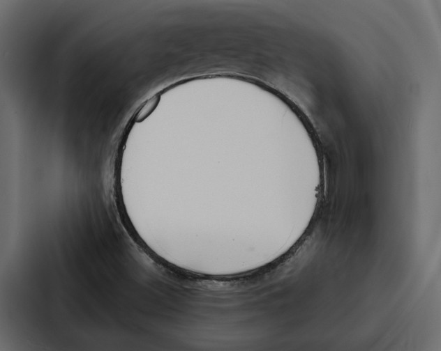 X0000087041500200705160917
