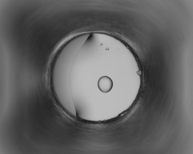 X0000087041502200705160917
