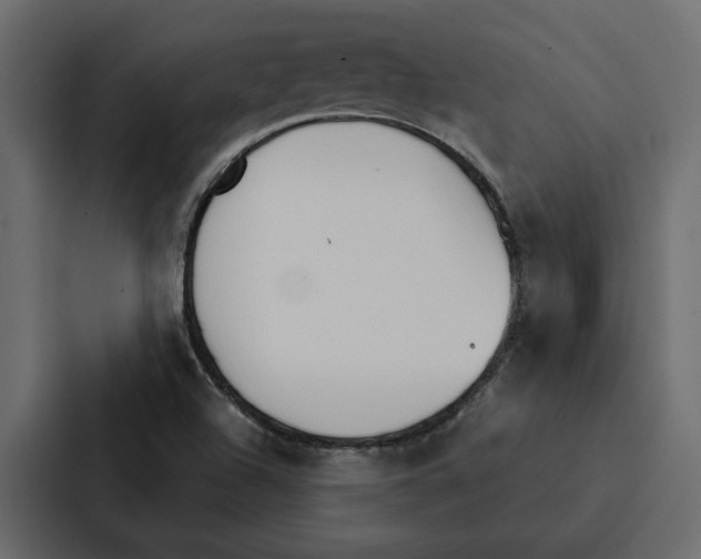 X0000087041504200705160917