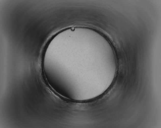 X0000087041506200705160917