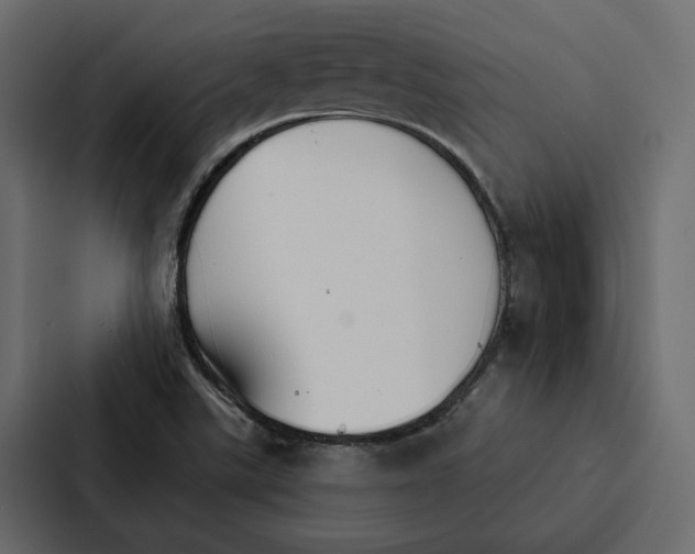 X0000087041507200705160917