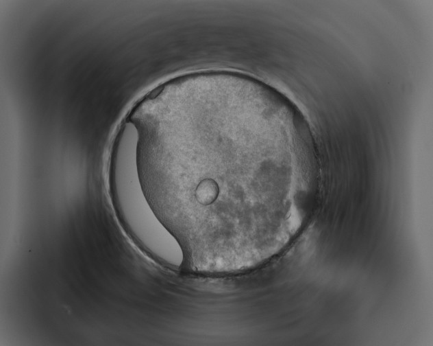 X0000087041508200705160917