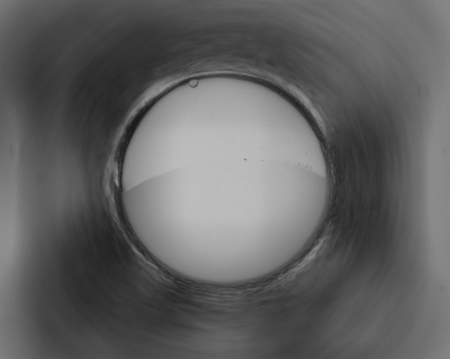 X0000087041509200705160917