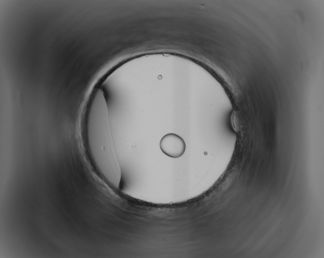 X0000087041510200705160917