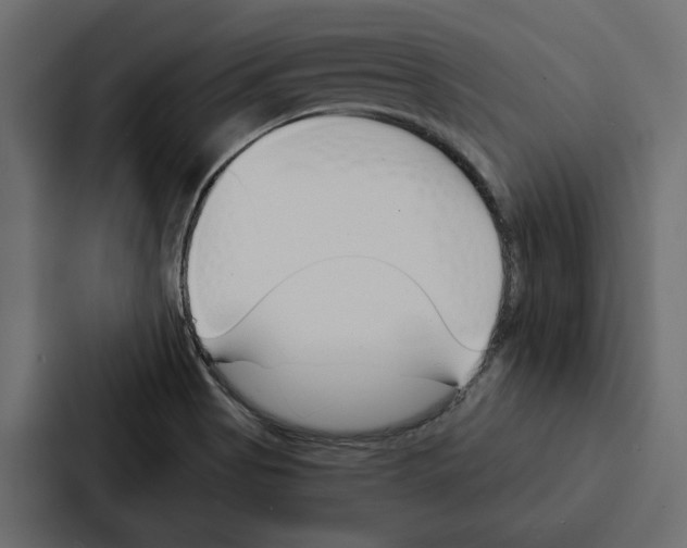 X0000087041513200705160917
