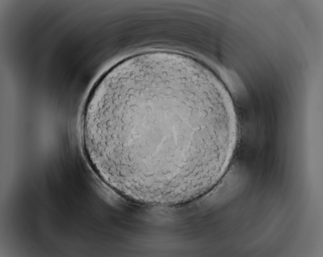 X0000087041514200705160917