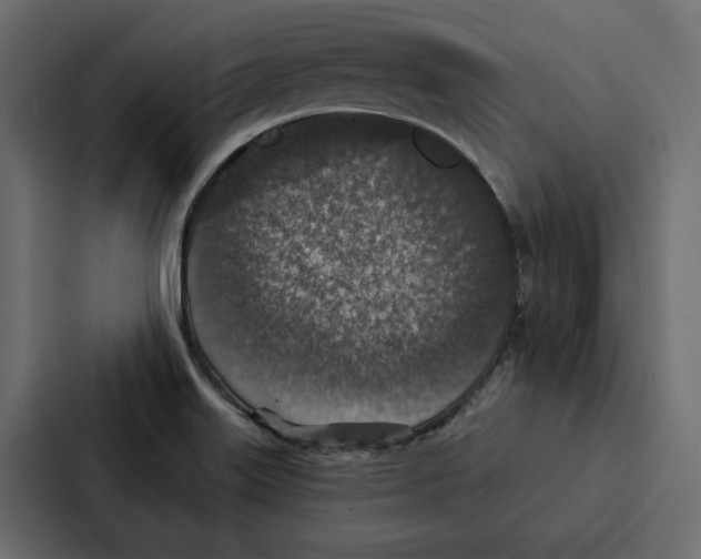 X0000087041515200705160917