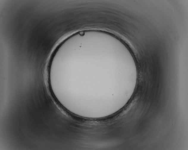 X0000087041517200705160917