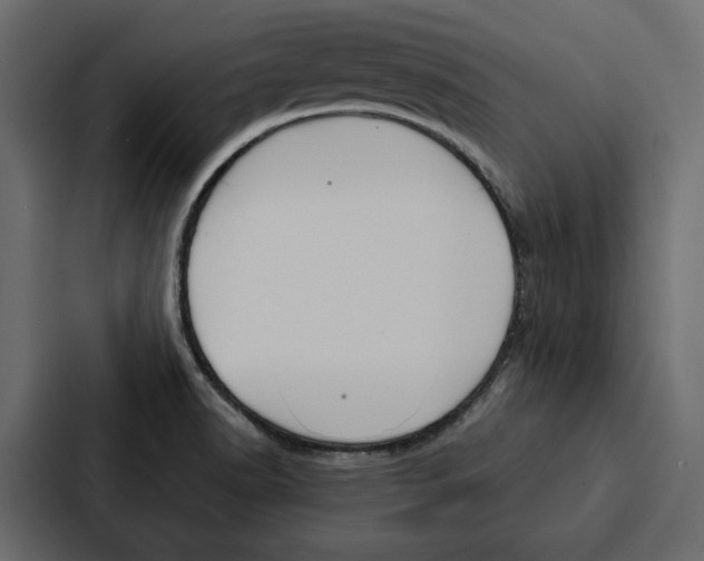 X0000087041518200705160917