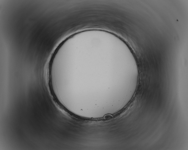 X0000087041519200705160917