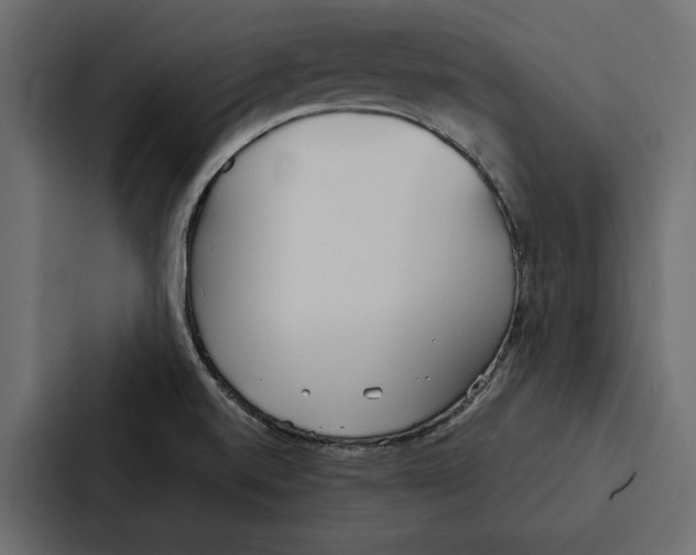X0000087041520200705160917