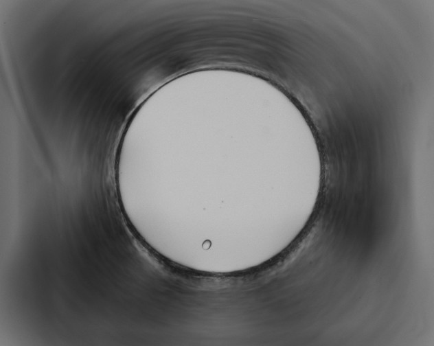 X0000087041521200705160917
