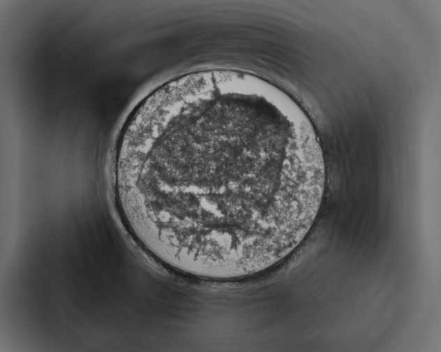 X0000087041522200705160917